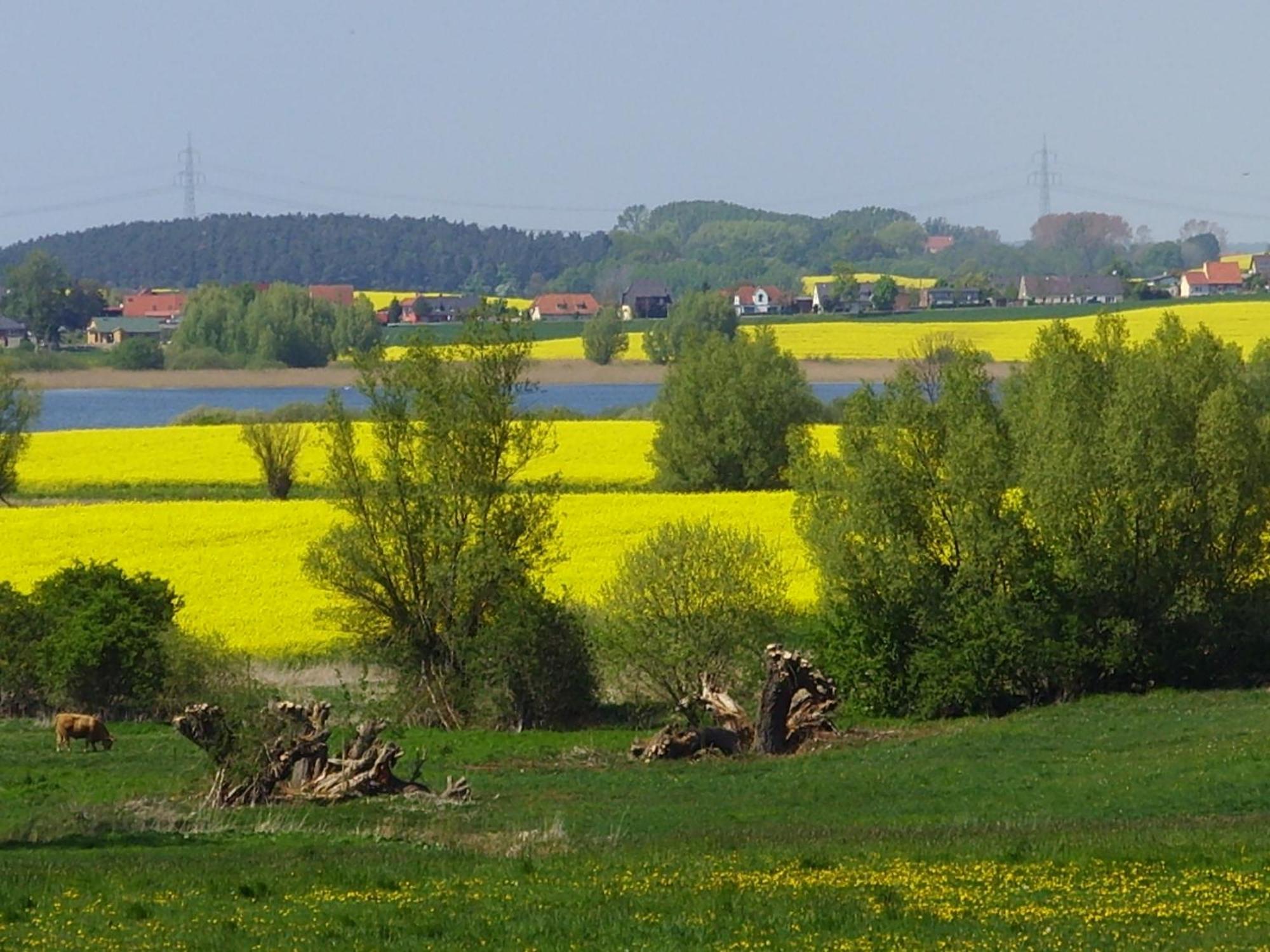 Van Der Valk Landhotel Spornitz Bagian luar foto
